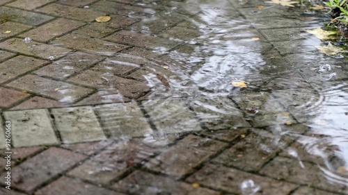 Close up rain drops in puddle on brick pavement