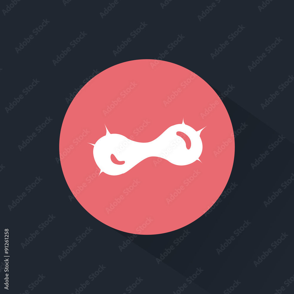 Obraz premium Mitosis icon