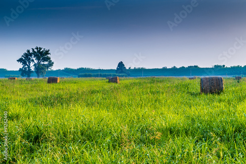 bales of hay in the high grass