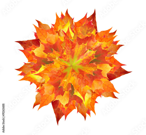colorful autumn maple leaves bouquet isolated on white