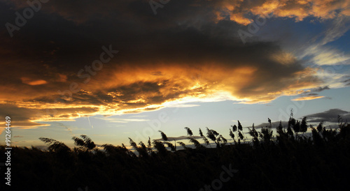 Atardecer en la marjal