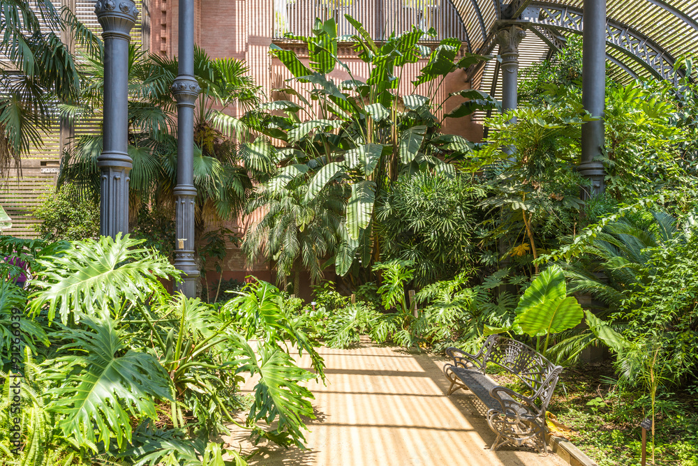 Fototapeta premium Tropical greenhouse, the Umbracle is a wood brick construction for tropical plants in the Citadel Park Barcelona