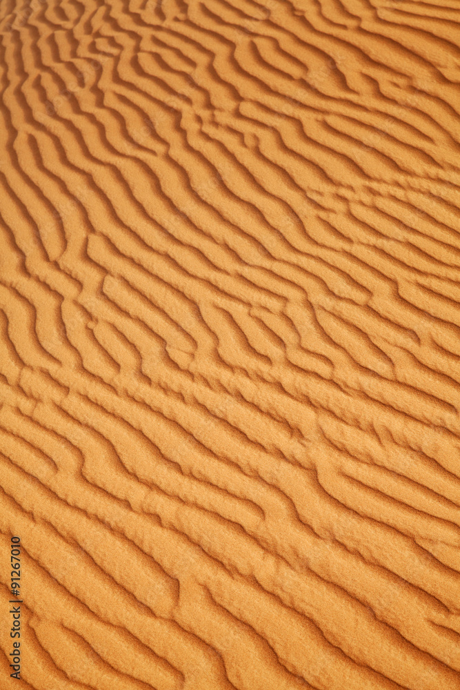Red sand desert Red sand desert