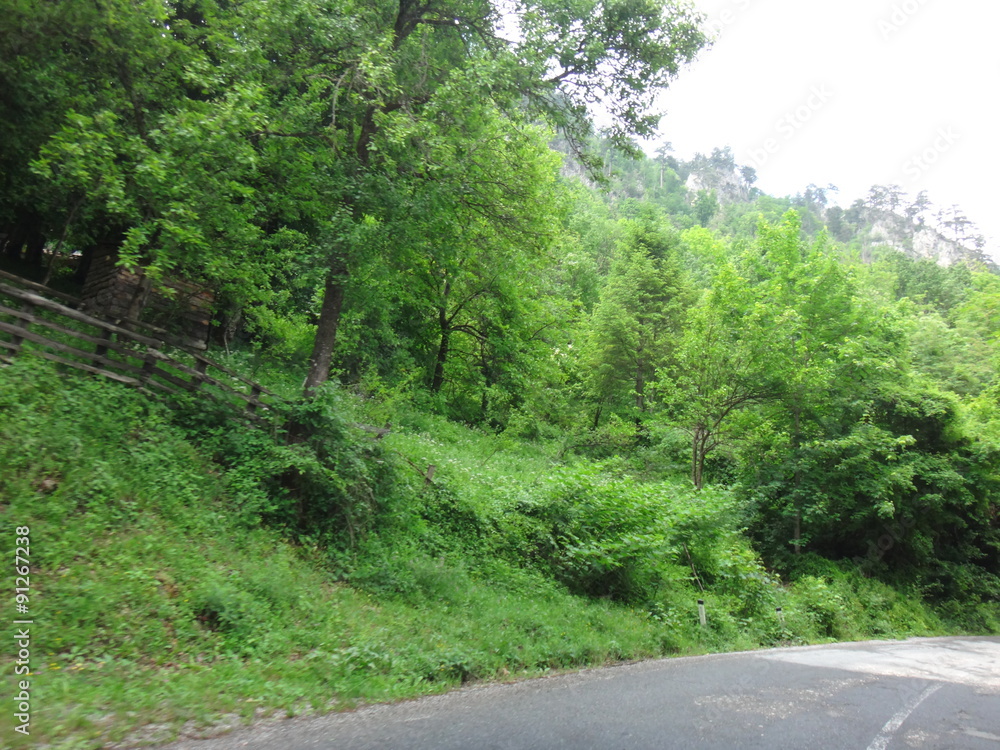 Obraz premium Деревенский забор осенним днем среди кустов и деревьев