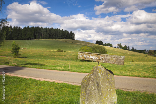 Landscape at the source of the stream photo