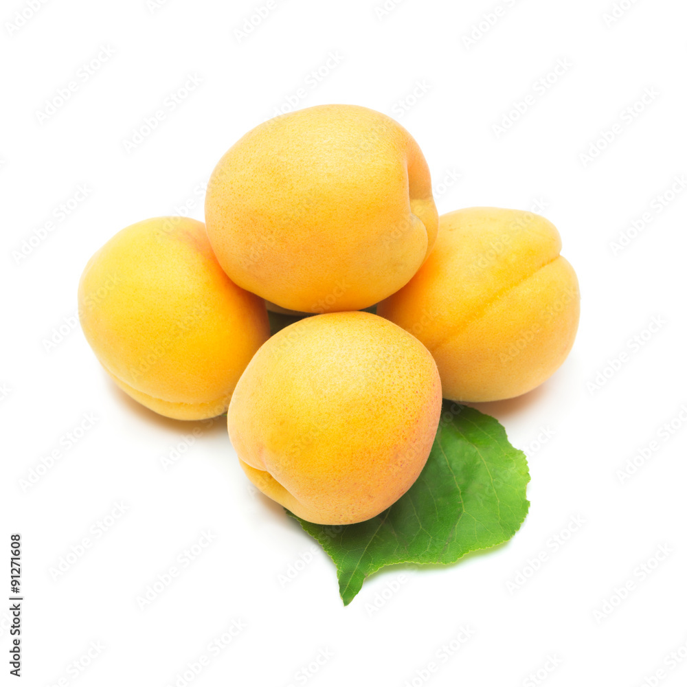 apricots  on white background