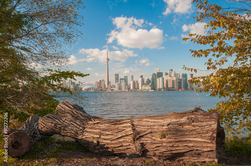 Photography Toronto skyline with seasonal autumn trees