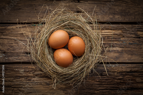 Brown egg in nest on dark wooden background