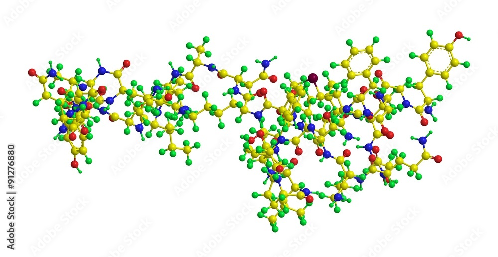 Molecular structure of beta endorphin - opoid endogenous peptide Molecular structure of beta endorphin - opoid endogenous peptide
