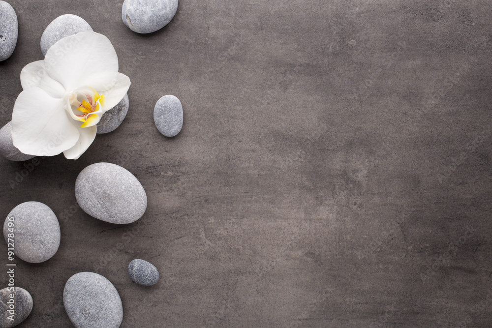 White orchid and spa stones on the grey background. White orchid and spa stones on the grey background.