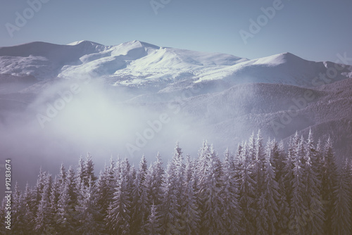 Mountains in winter © Oleksandr Kotenko