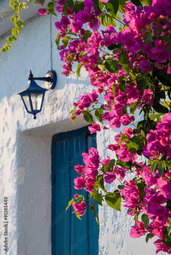 Obraz premium Old wooden door with bougainvillea in Greece