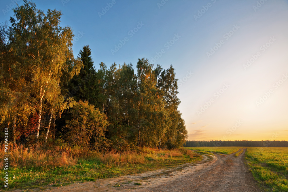 Fototapeta premium Road in sunset field
