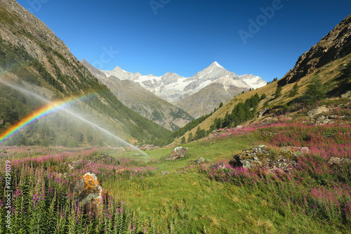 Watering alpine meadows in the Swiss Alps, Switzerland photo