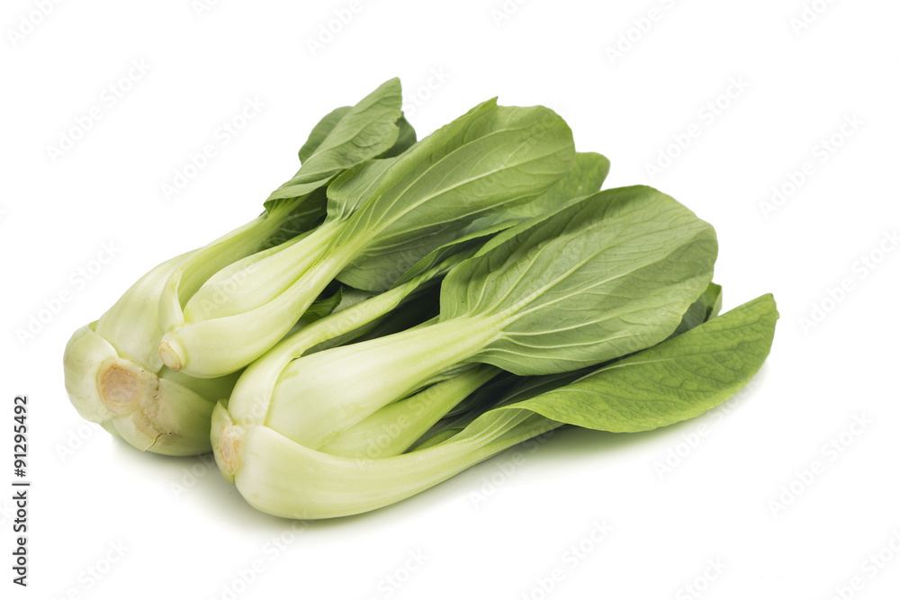Fresh green leafy bok choy vegetable isolated in white. Fresh green leafy bok choy vegetable isolated in white.
