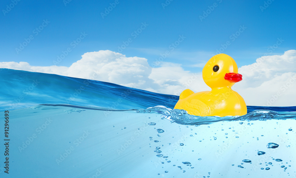 Duck toy Duck toy