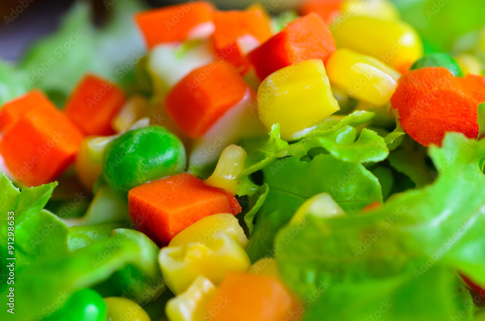 Fresh vegetable colorful salad in dish Fresh vegetable colorful salad in dish