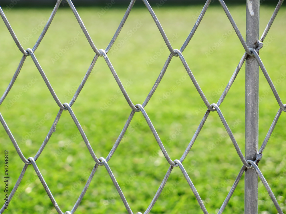Fototapeta premium wire fence