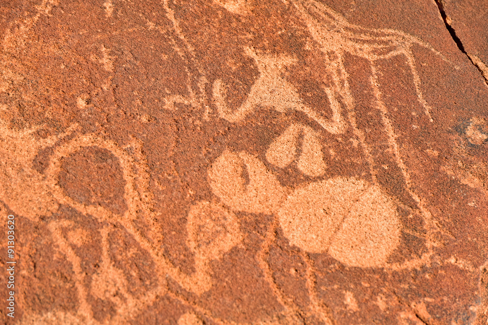 Fototapeta premium Bushman Rock Engravings - Namibia