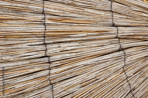 Natural Bamboo Curtain  Background Perspective
