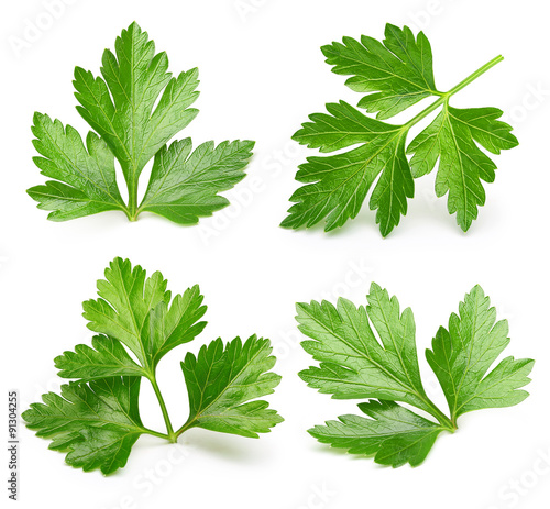 Parsley herb isolated