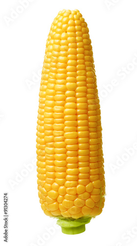 Corn isolated 