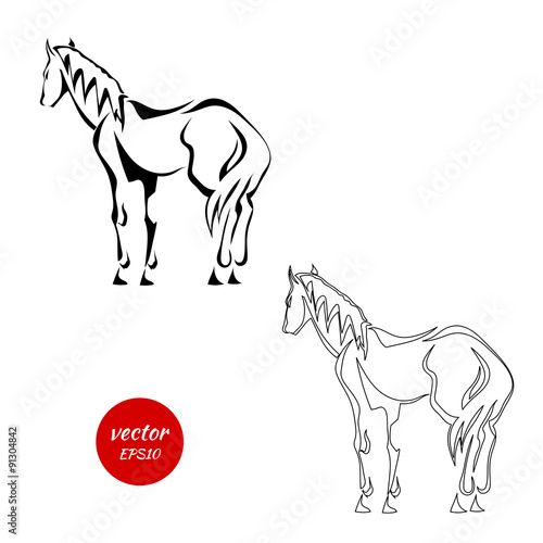 A set of silhouettes of horse from the back isolated on white ba