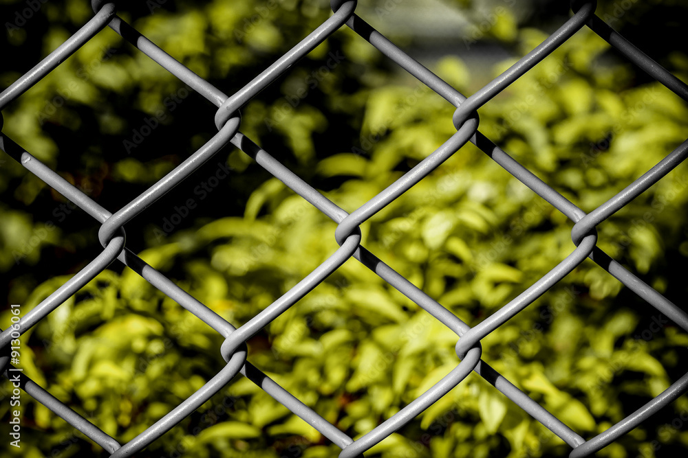 Freedom Concept Background / Freedom Concept / Freedom Concept Background Illustrated by Wire Fence