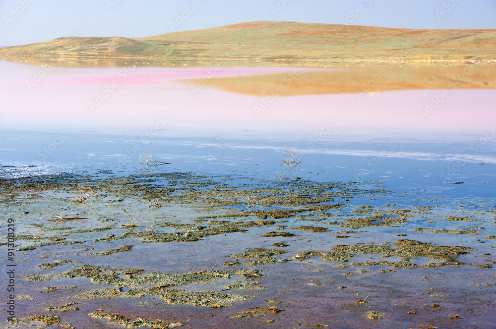 Koyashskoye salt lake