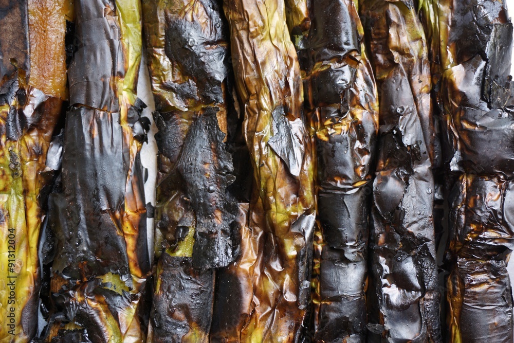 Fototapeta premium grilled eggplant