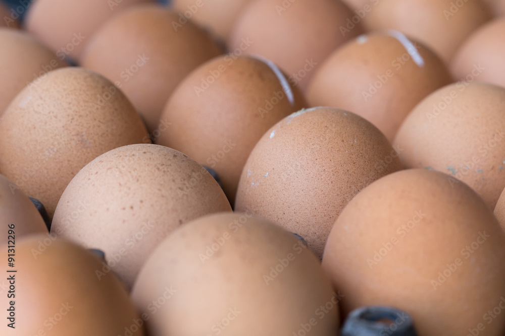 fresh organic eggs from chicken farm agriculture for sale fresh organic eggs from chicken farm agriculture for sale