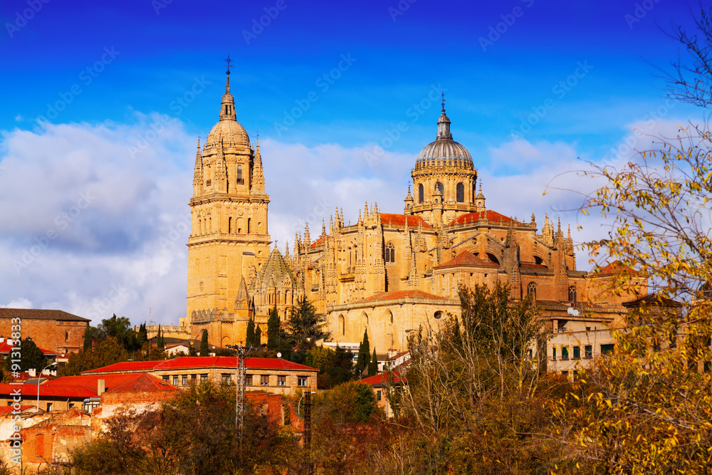  Cathedral of Salamanca