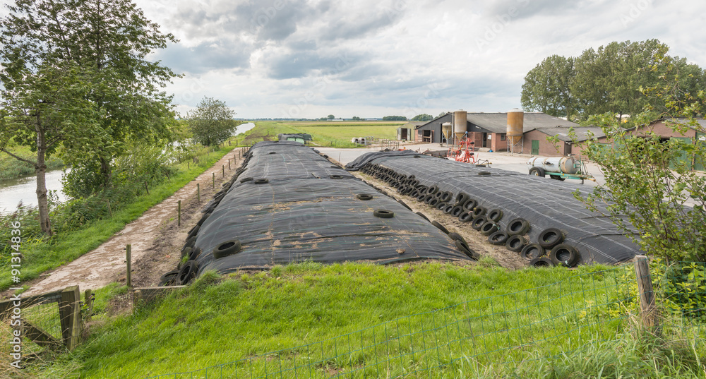 Grass silage at a farm