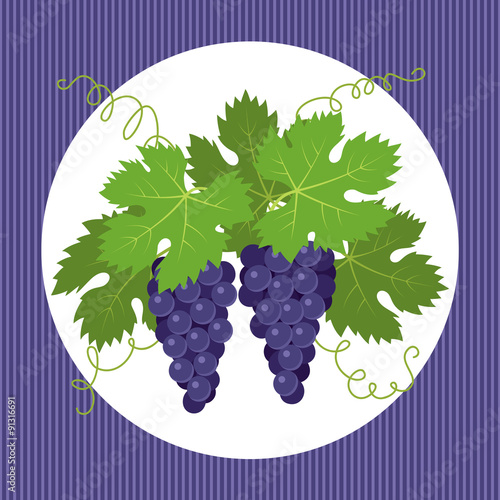 Red grapes with leaves isolated on white background