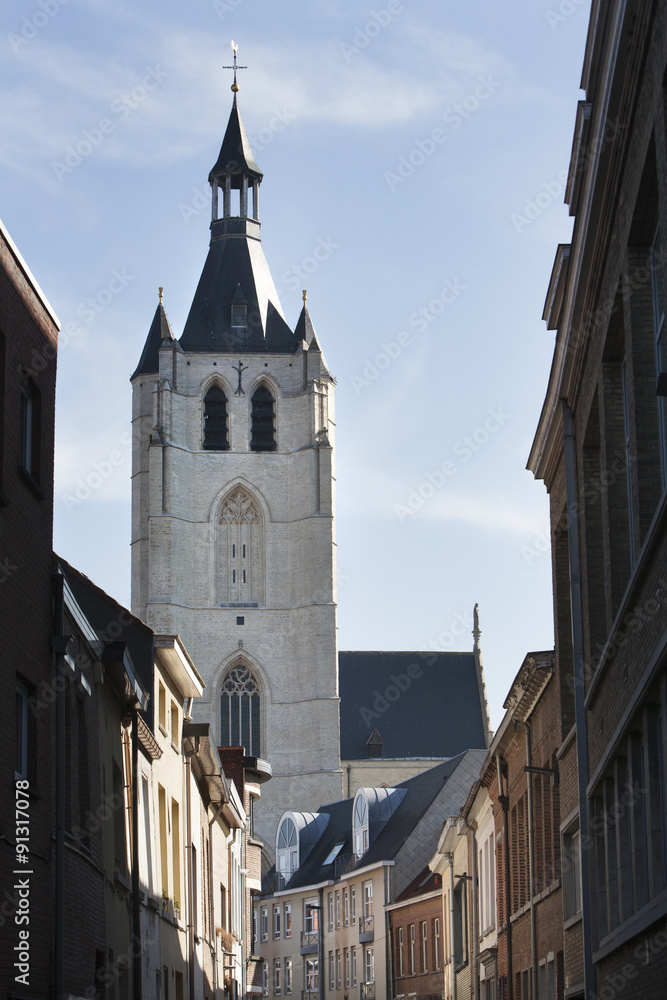 The Church of Our Lady across the (River) Dijle in Mechelen