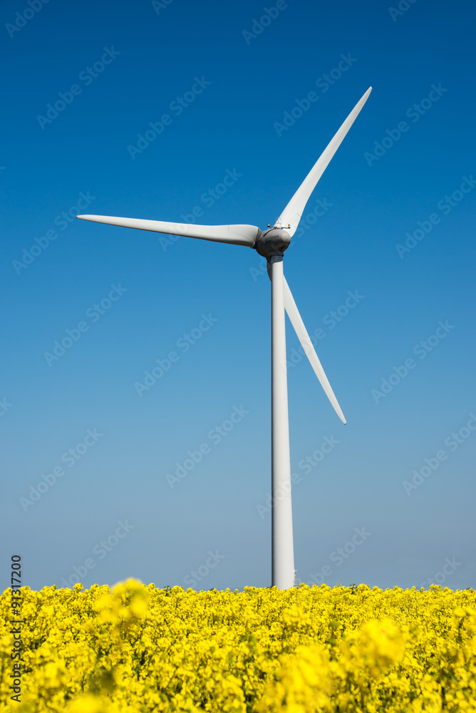 Wind turbine in a yellow flower field of rapeseed Wind turbine in a yellow flower field of rapeseed