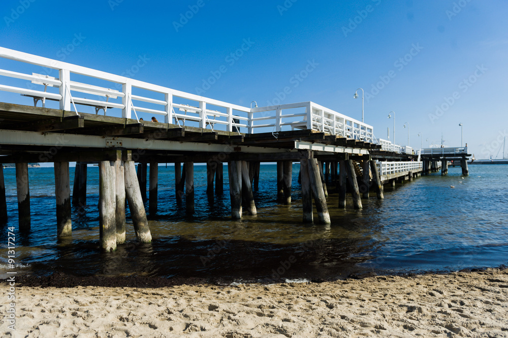 Fototapeta premium MOLO