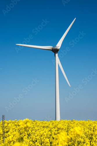 Wind turbine in a yellow flower field of rapeseed © Delphotostock