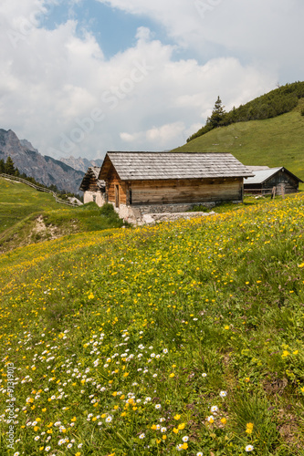 alpine meadow with wooden houses in springtime