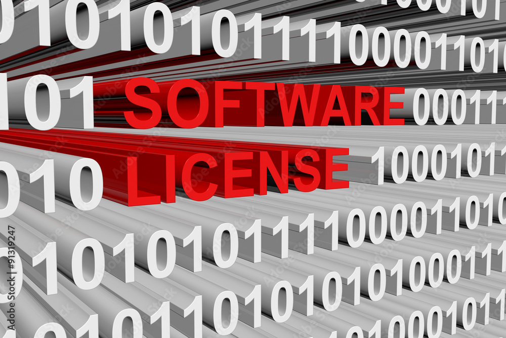 Software License is presented in the form of binary code