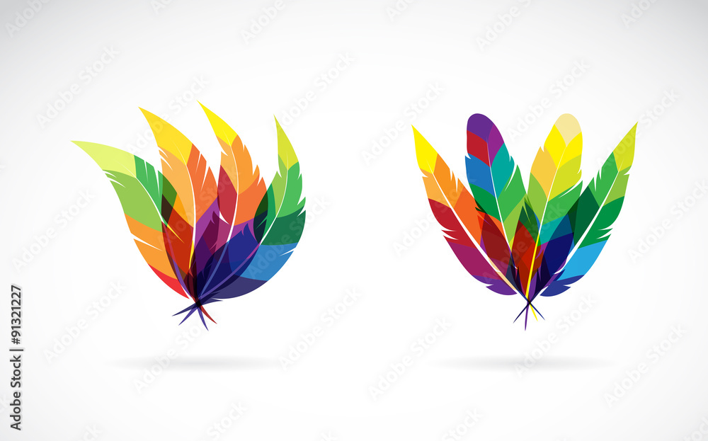 Vector group of an feathers design on white background Vector group of an feathers design on white background