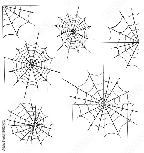 Spinnennetze Set 