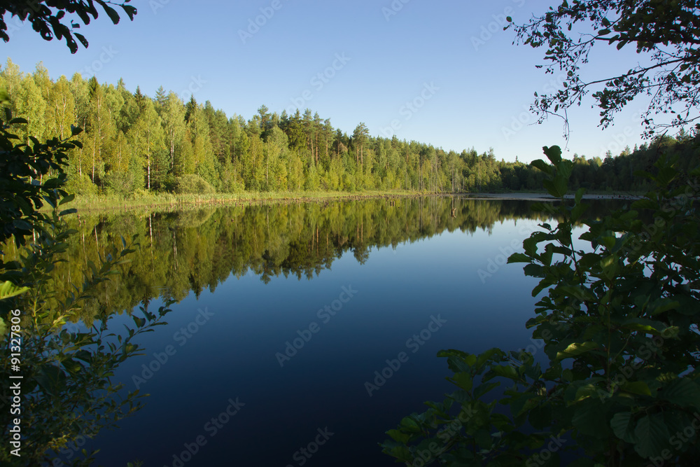 Summer day at a forest lake