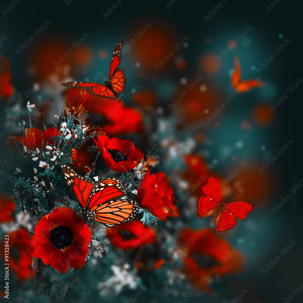 Fototapeta premium Pole maków i zielona trawa i motyl