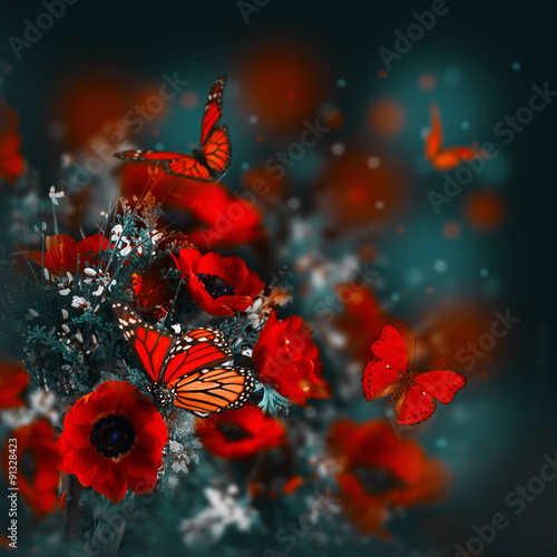 Fototapeta Naklejka Na Ścianę i Meble -  Field of poppies and green grass and butterfly