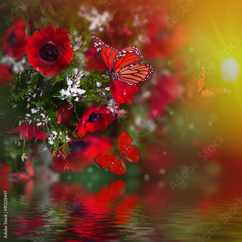 Fototapeta Naklejka Na Ścianę i Meble -  Field of poppies and green grass and butterfly