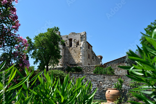 Suvereto - La Rocca Aldobrandesca photo