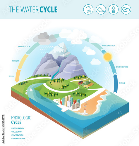 The water cycle