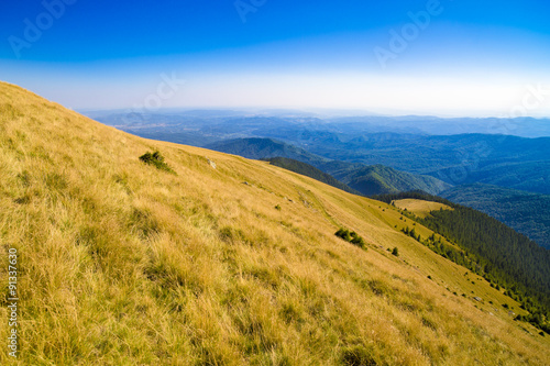 mountain landscape with yellow grass plateau © czamfir