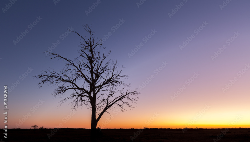 Lonely bare tree silhouette at dusk Lonely bare tree silhouette at dusk